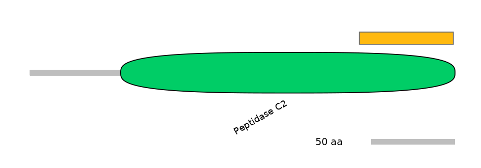 MmuEX6077887-EXC