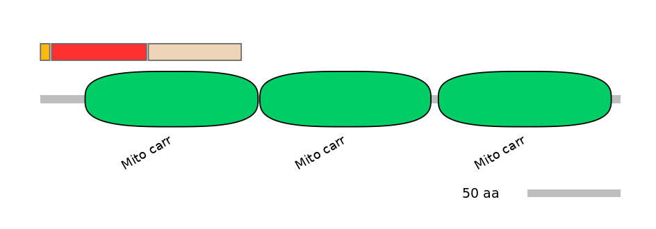 MmuEX6078684-INC