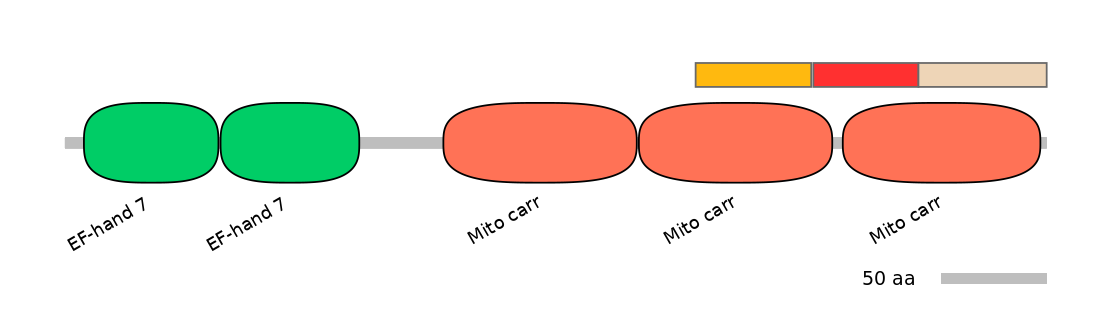 MmuEX6078691-INC