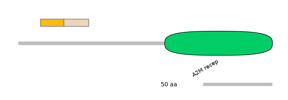 MmuEX6078715-EXC