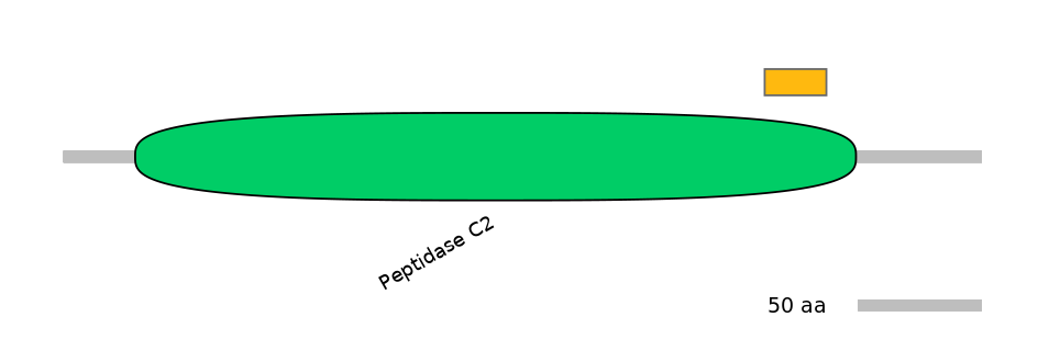 MmuEX6079237-EXC
