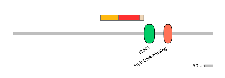 MmuEX6082036-INC