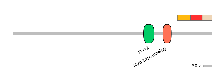 MmuEX6082041-INC