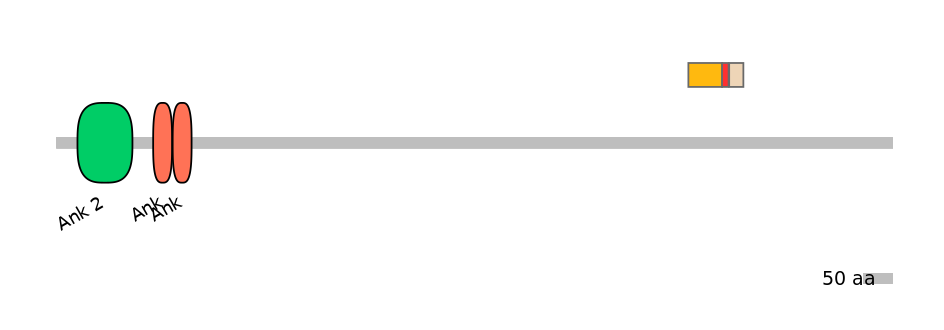 MmuEX6083741-INC