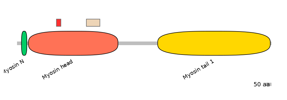 MmuEX6086309-INC
