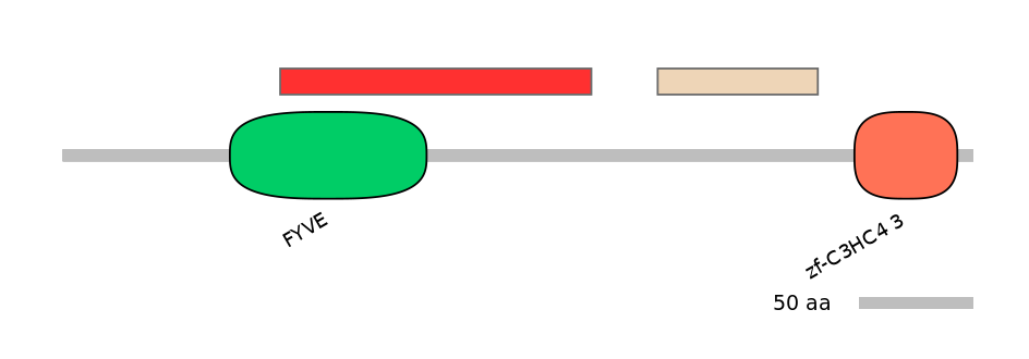 MmuEX6088217-INC