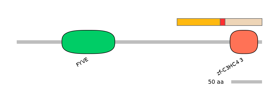 MmuEX6088219-INC