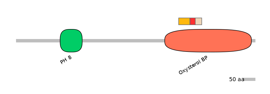 MmuEX6089165-INC