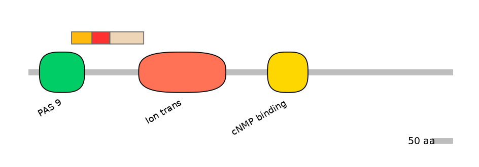 MmuEX6089754-INC