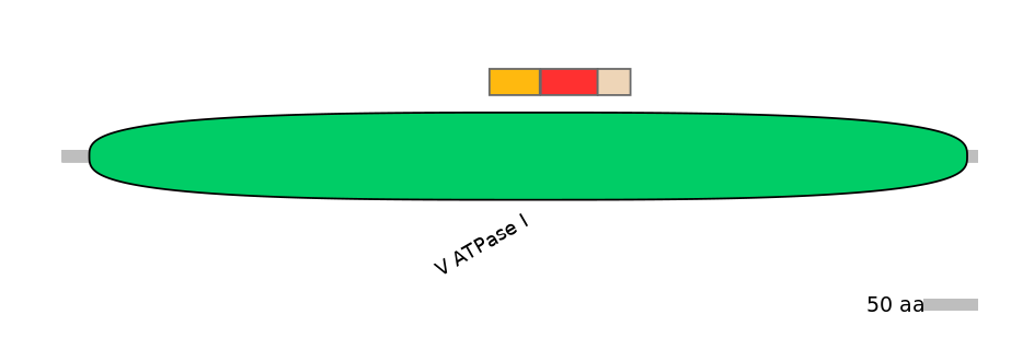MmuEX6089800-INC