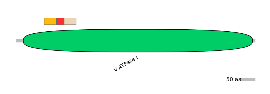 MmuEX6089804-INC