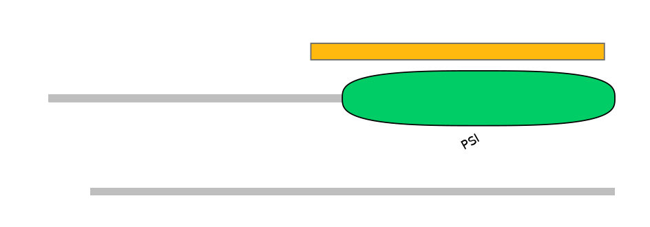 MmuEX6090372-EXC