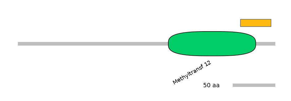 MmuEX6090405-EXC