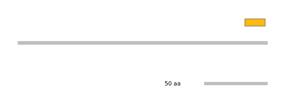 MmuEX6090407-EXC