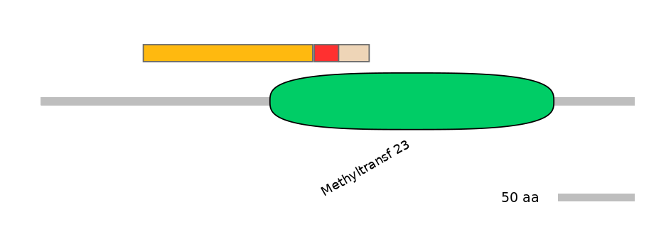 MmuEX6090408-INC