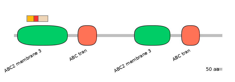 MmuEX6090786-INC