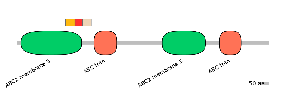 MmuEX6090788-INC