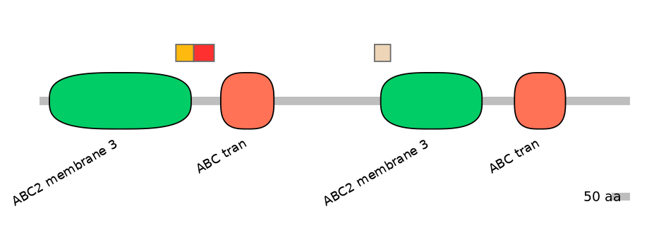 MmuEX6090789-INC