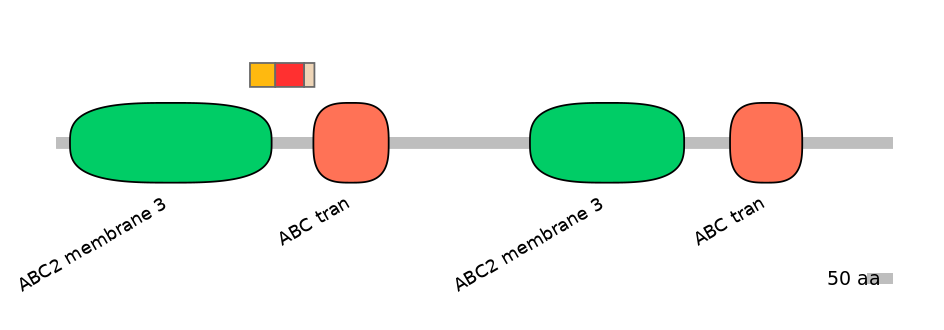 MmuEX6090839-INC