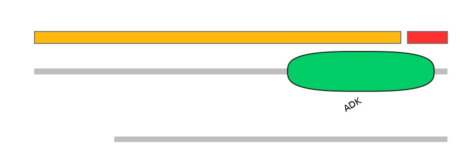 MmuEX6095168-INC