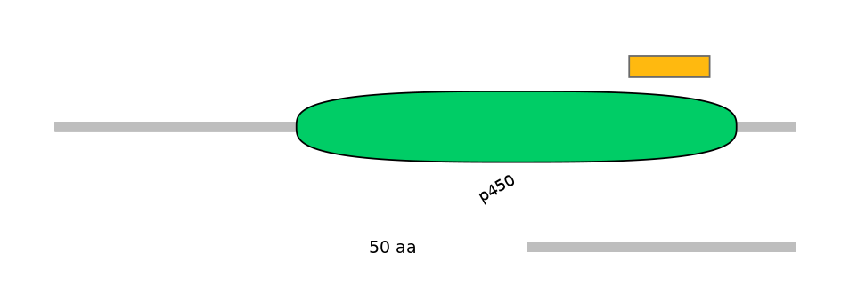 MmuEX6095201-EXC