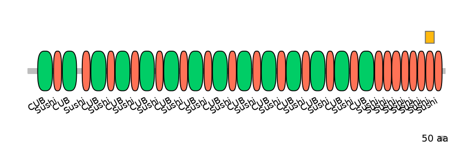 MmuEX6096187-EXC