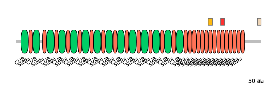 MmuEX6096187-INC