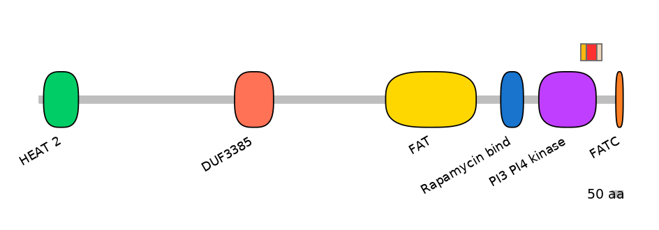 MmuEX6097884-INC
