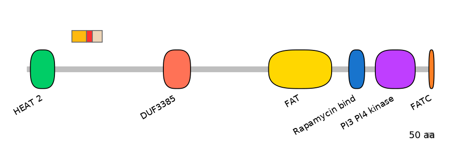 MmuEX6097917-INC