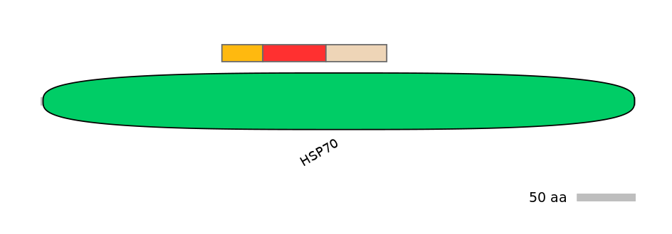MmuEX6098719-INC