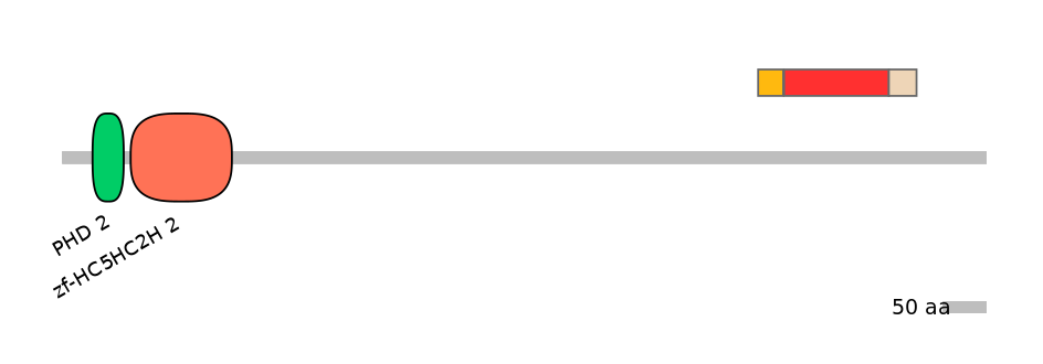 MmuEX6099115-INC