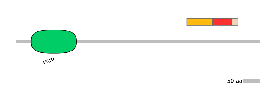 MmuEX6099596-INC