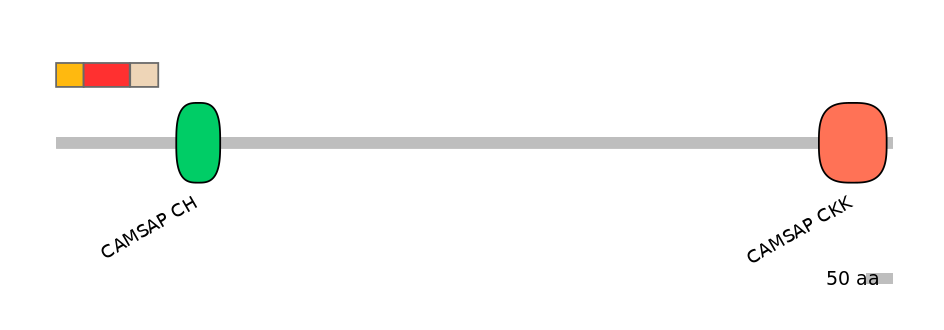 MmuEX6099662-INC