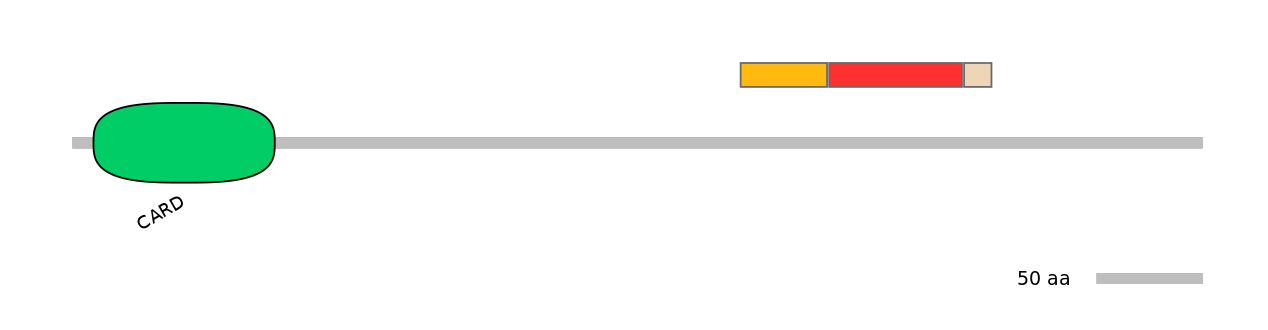 MmuEX6099701-INC