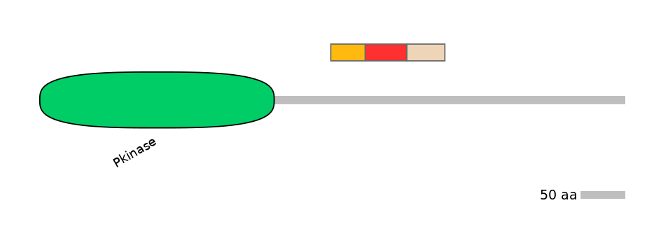MmuEX6099786-INC
