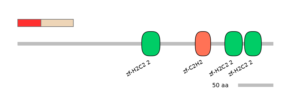 MmuEX6100003-INC