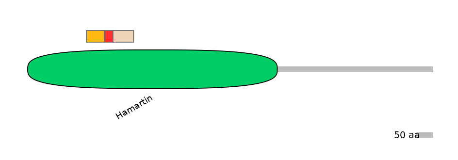 MmuEX6100021-INC