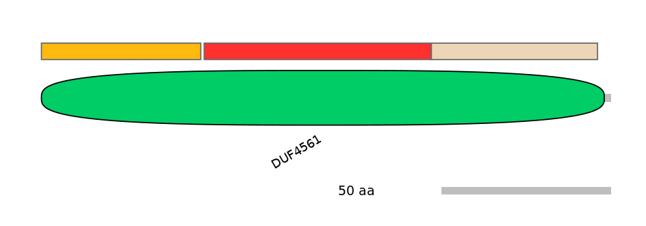 MmuEX6100025-INC