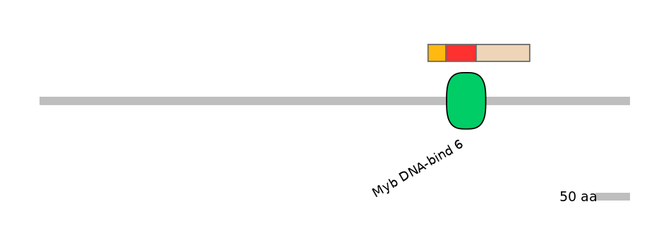 MmuEX6100048-INC