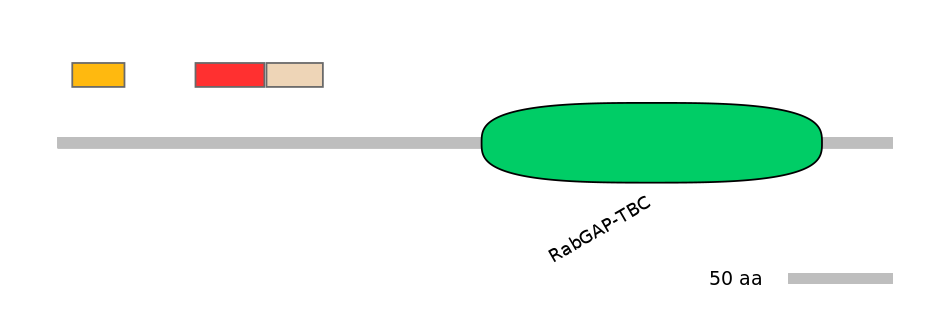 MmuEX6100204-INC