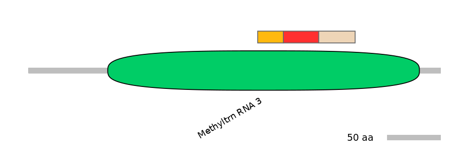 MmuEX6100213-INC