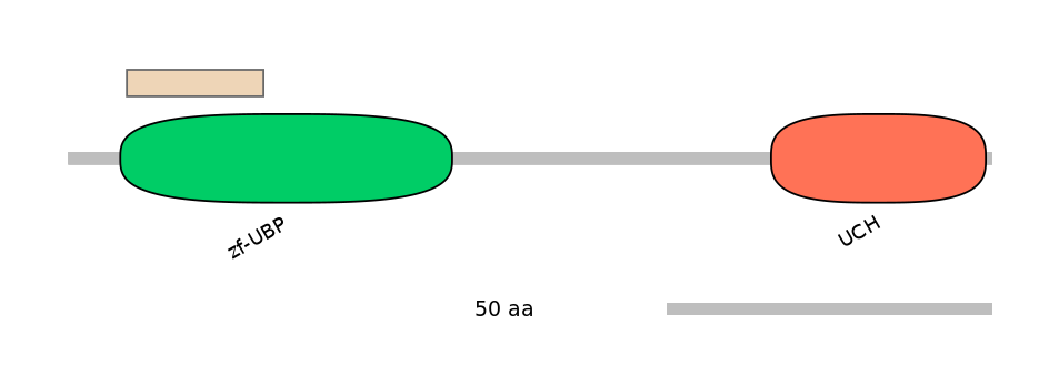 MmuEX6100318-EXC
