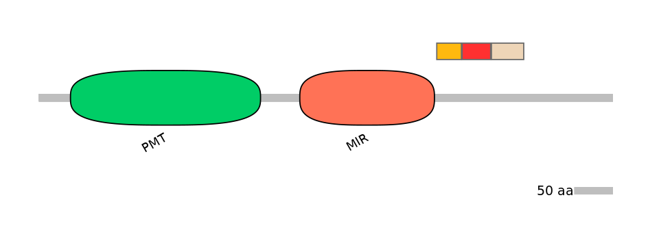 MmuEX6100504-INC