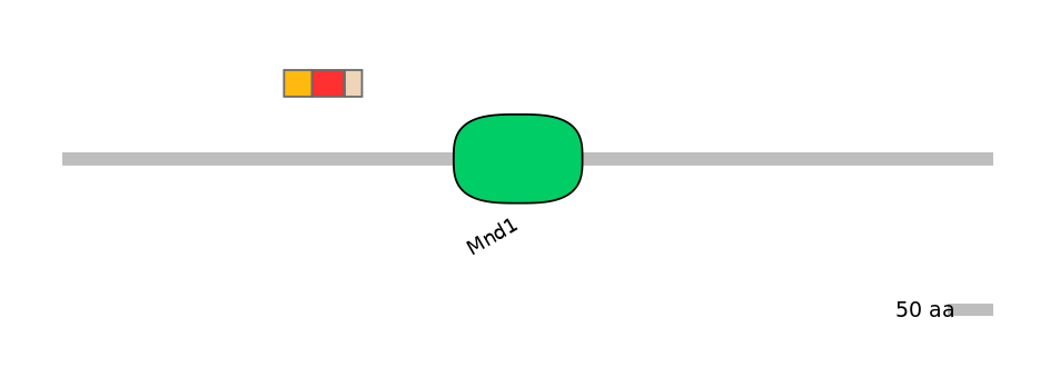 MmuEX6100524-INC