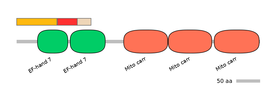 MmuEX6100553-INC