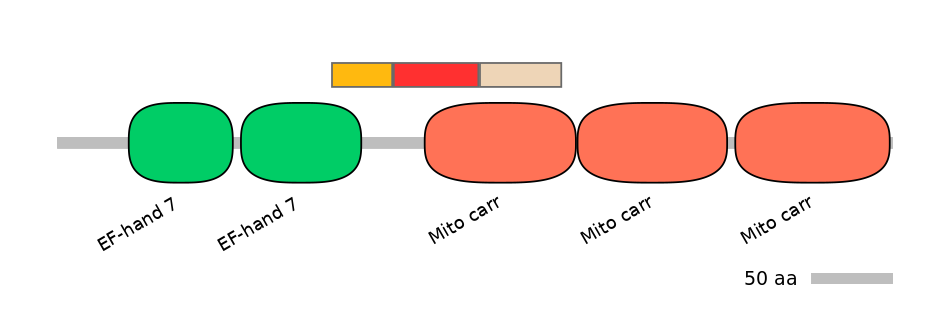 MmuEX6100556-INC