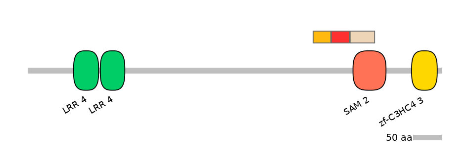 MmuEX6100670-INC