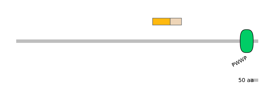 MmuEX6101126-EXC