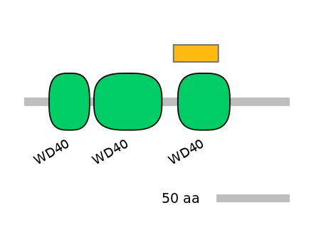 MmuEX6101451-EXC