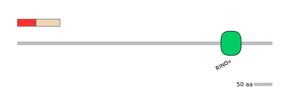 MmuEX6101488-INC